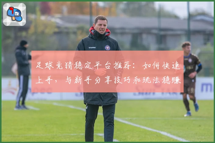 足球竞猜稳定平台推荐：如何快速上手，与新手分享技巧和玩法稳赚经验