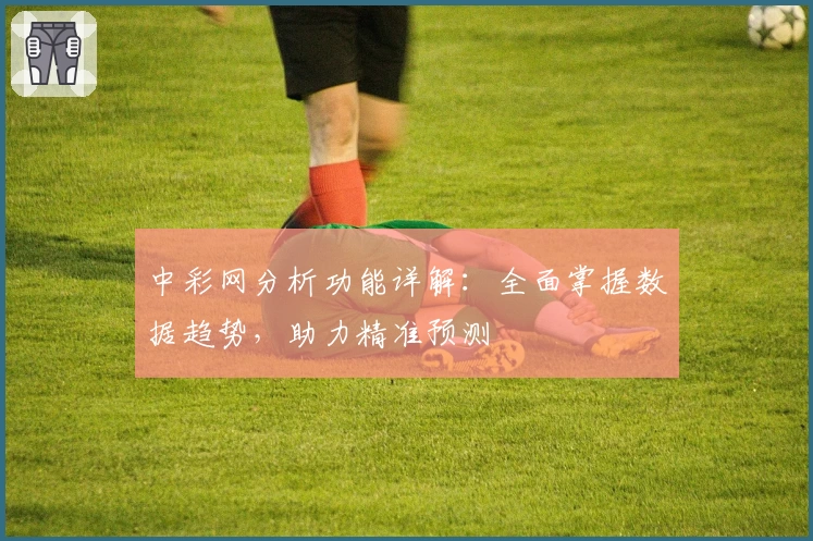 中彩网分析功能详解：全面掌握数据趋势，助力精准预测