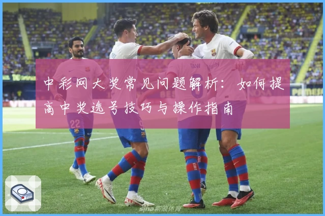 中彩网大奖常见问题解析：如何提高中奖选号技巧与操作指南