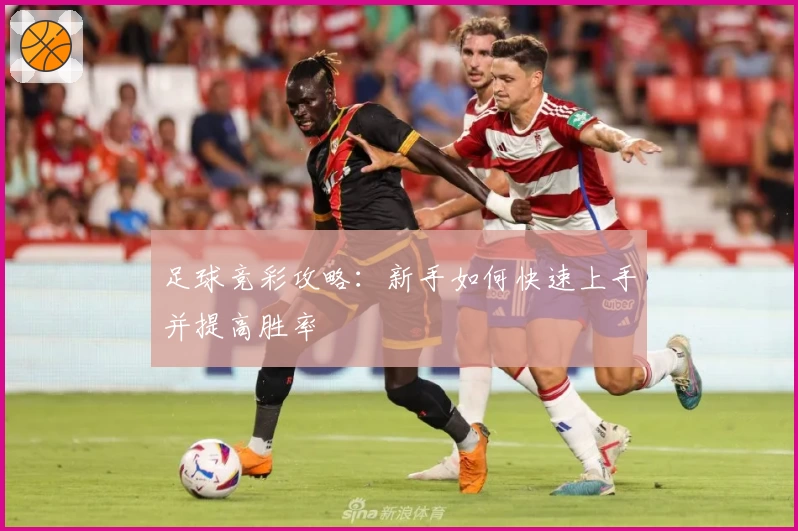 足球竞彩攻略:新手如何快速上手并提高胜率
