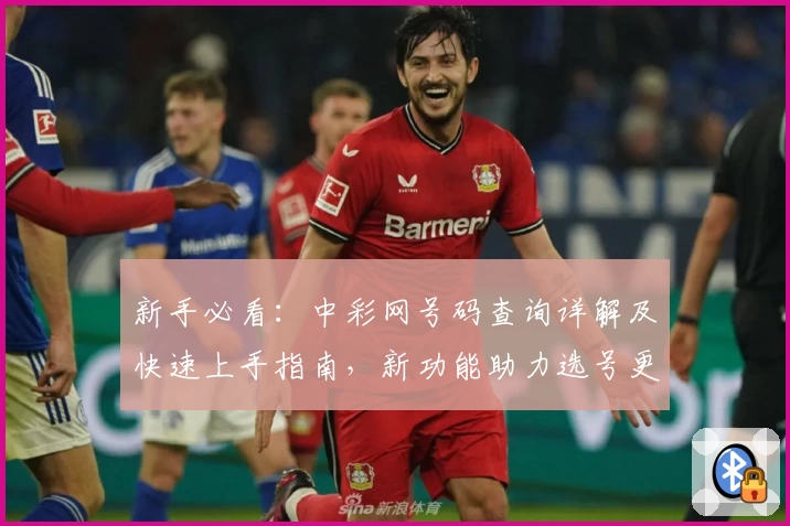 新手必看：中彩网号码查询详解及快速上手指南，新功能助力选号更精准