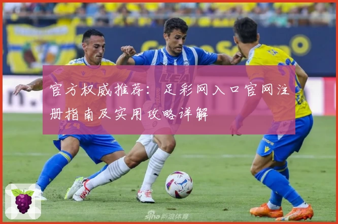 官方权威推荐：足彩网入口官网注册指南及实用攻略详解